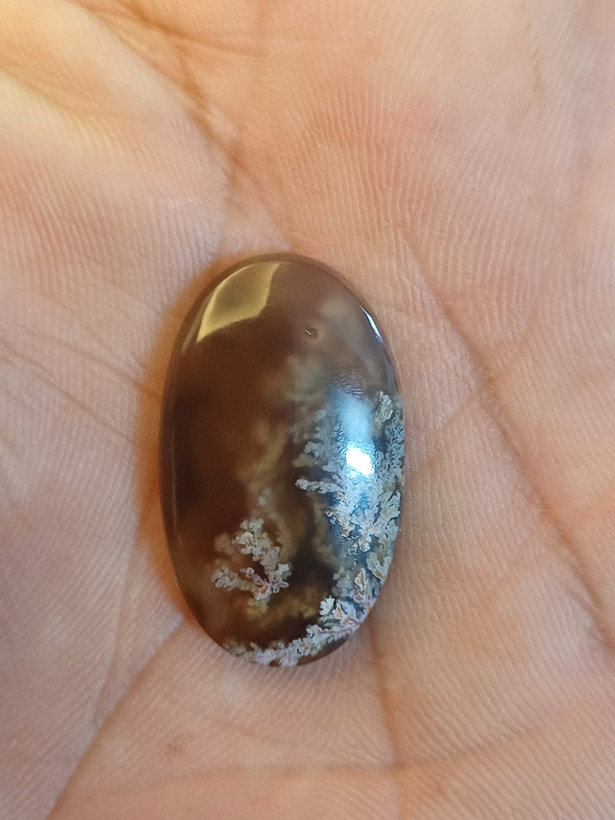 نگین عقیق شجر عسلی