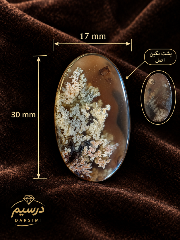 نگین عقیق شجر عسلی